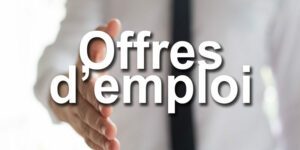 Img-offre-emploi-800x445-1-300x167