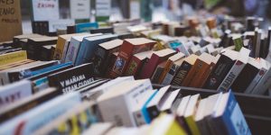 Livres LOGO