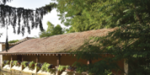 dombes_n-048_000_couverture-b993b